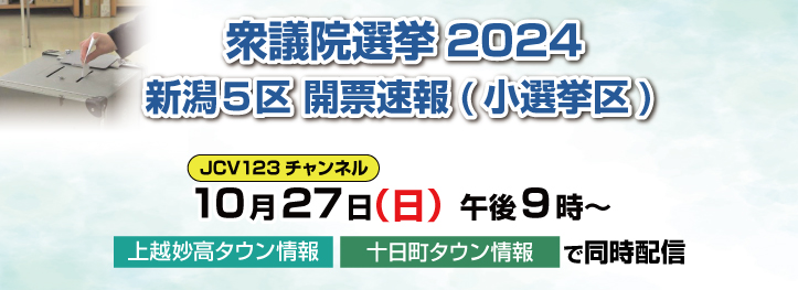 選挙開票速報