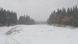 161109_妙高市内で積雪3