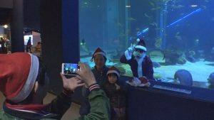 161121_水族館記念撮影