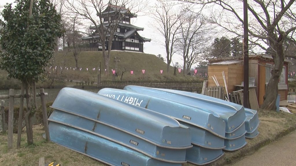 明日から観桜会