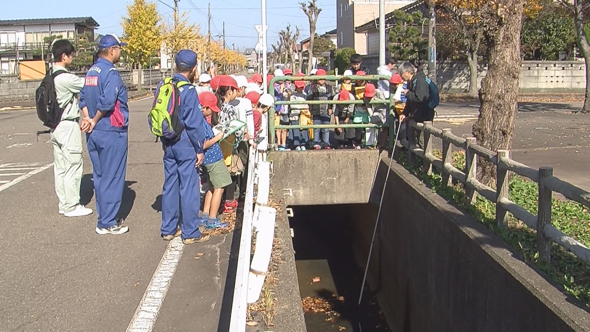 181108_春日新田小４年川の防災現地学習2