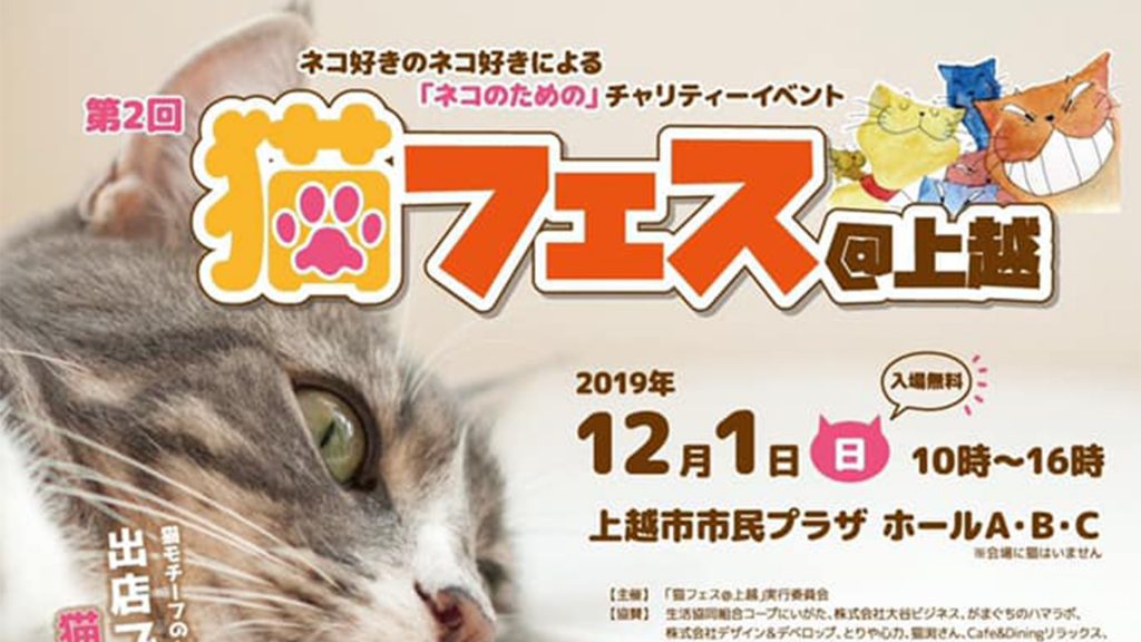 猫好きさん集まれ 猫フェス 上越 12月1日 イベント 上越妙高タウン情報