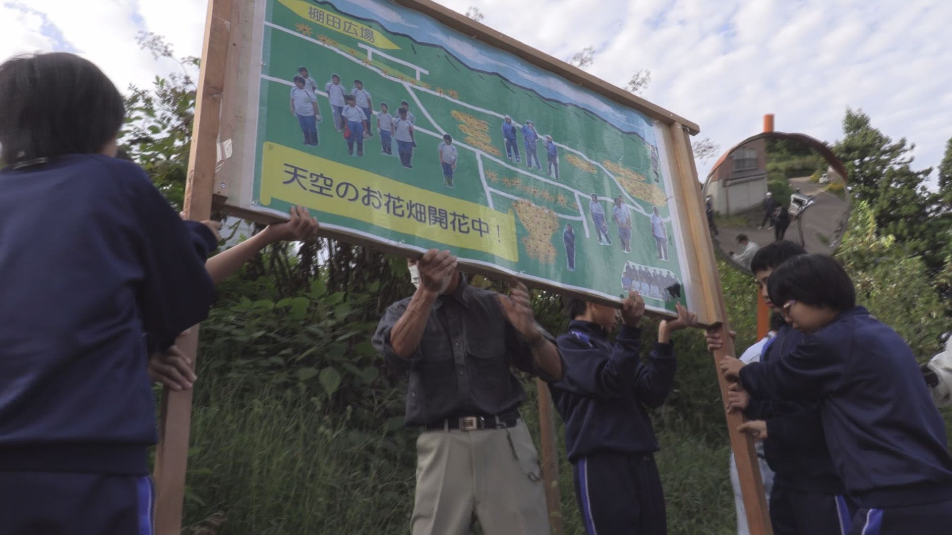 Goto天空のお花畑 朴ノ木地区で小中学生が準備 ニュース 上越妙高タウン情報