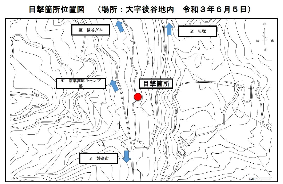 熊キャプチャ