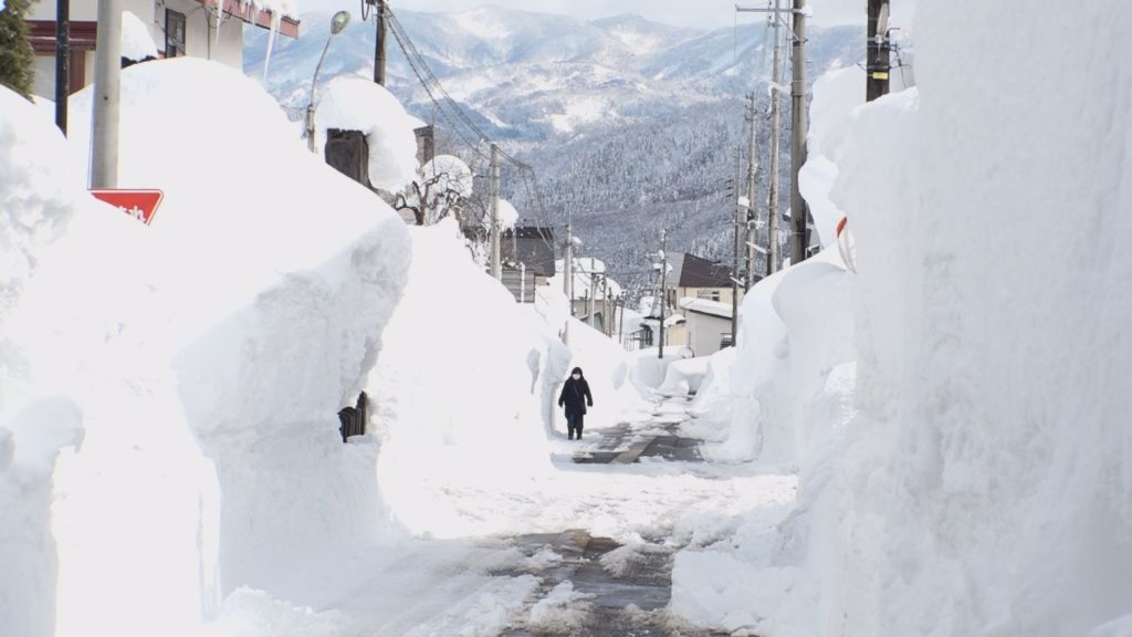 妙高 積雪 カメラ オファー