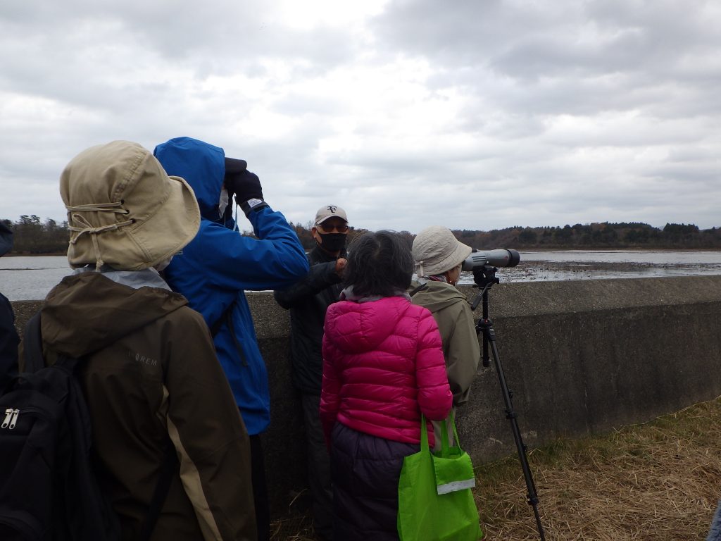 2023.11.26 野鳥観察会