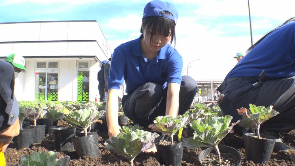 231020_高田農業高校 花の苗植え