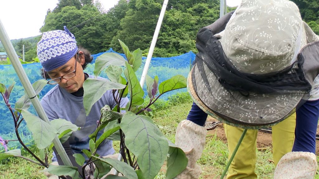 鴫谷さん