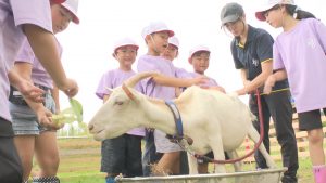 240909_斐太北小　ヤギの入学式